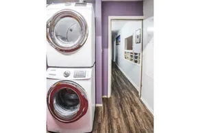 --LOW HOST FEES-- Minutes to U.T. /Downtown/Domain - Image 5