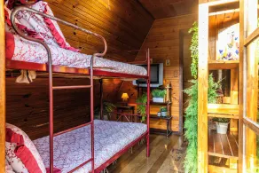 Natureza, piscina, sitio | Brazilan Corner - Image 5
