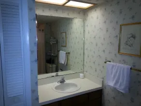 Clearwater FL Condo, Dog Friendly avec commodités et attractions illimitées - Image 4