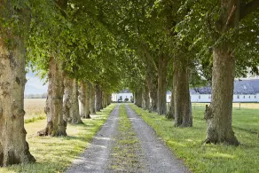 Åløkke BnB - Image 4