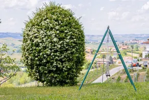 Panorama Villa Nestled Among the Vineyards Langhe - Image 2