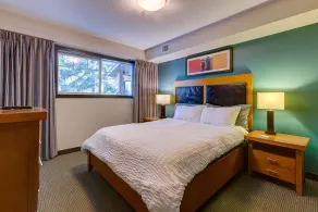 Mountain & Forest Views, Hot Tub: Top Floor 1 Bed 1 Bath; Pets OK - Image 4