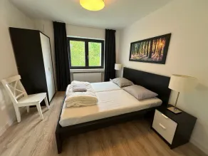 Villa Holgenbach - Penthouse und Ferienwohnung im Nationalpark Eifel - Image 4