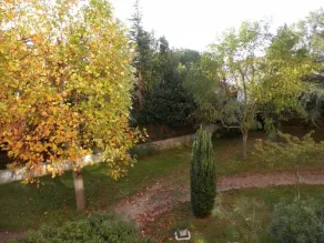 Appartement dans immeuble quartier très calme - Image 4
