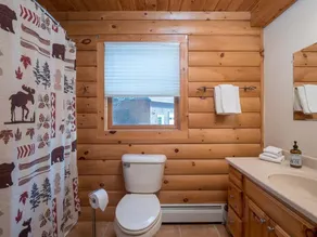 River Ridge Lodge w/ Fireplace and Hot Tub! - Image 3