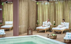 Beautiful Vidanta Resort - The Grand Mayan Resort in Nuevo Vallarta - Image 5