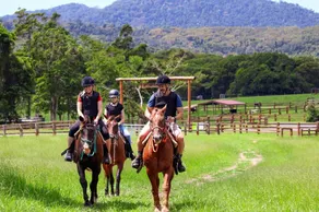 Farm Stay! Fun activities for the whole family-35 minutes from Cairns CBD - Image 4