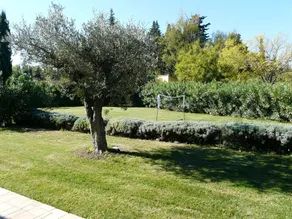 Vacation rental with heated  pool Mouries LS1-140 - Image 2