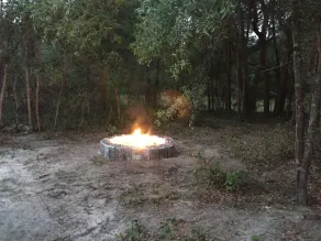 Rainbow Springs Private 4 acre Country Retreat - Image 3