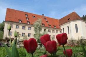 Vacation apartment in a former monastery - Image 5