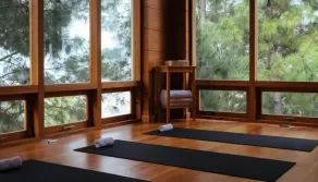 Dhensa Resort - Image 2