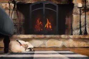 Wiggleswick Cottage; Dogs Welcome Certified! No pet fees or breed restrictions - Image 2