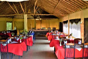ELANGATA OLERAI LUXURY TENTED CAMP - Image 5