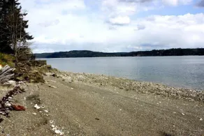 Hood Canal 2 B/R Waterfront Cabin.  Sleeps 4. - Image 5