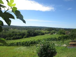 The house with 3 bedrooms and a large terrace with a view of the wine hills - Image 2