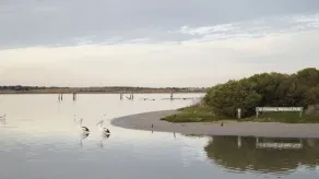 Sandydoon - slap af ved havet - Image 5