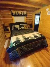 Cardinal Cabin with Hot tub, WIFI, Dish, park pass - Image 5