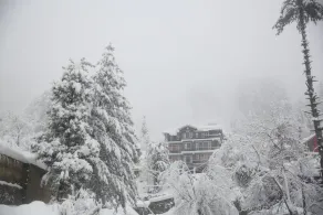 North Star Manali - Image 2