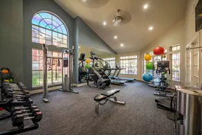 Luxury Apartment - Medical Center - 30+ day stays - Image 2