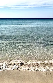 Panoramic Bay Views - Pet friendly & only a  5 minute stroll to town - Image 5