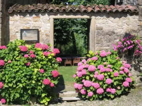 Guest House in Monferrato with Castle Views - Image 5