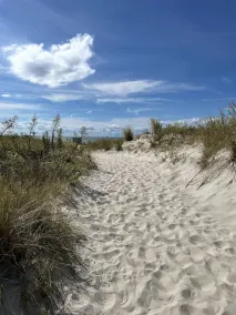 Bay cottage, Beach 100 yards away! RESERVE NOW!!! - Image 4