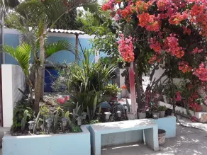 🌴 Casa de Huespedes Villahan- Suites- AC/P/WIF 💫 - Image 4