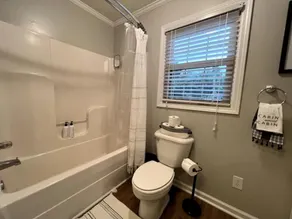 Ultimate Hideaway in the pines next to Lake Marion - Image 3