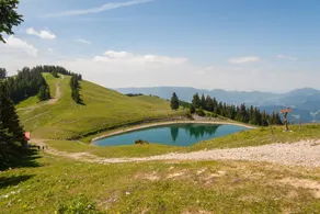 Pool & Wellness Chalet Sunshine, Vransko, Slovenia - Image 3
