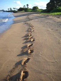 Den mest fantastiske Haleiwa Beach Front Lejlighed - Image 3
