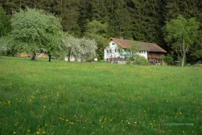 Pension am Waldesrand - Image 3