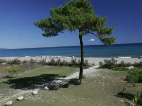 Accogliente appartamento in villa con WIFI, A/C, piscina, TV, terrazza e animali ammessi - Image 2