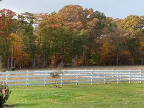 Peaceful 3 bedroom home with full basement on farm land - Image 4
