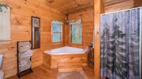 Red Apple Cabin 🍎3 Bedrooms, 3 Baths, Amazing views Mountaintop 15 MIN DOWNTOWN - Image 3