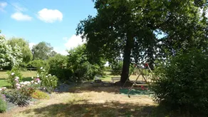 Owl Cottage renoverat hus, uppvärmd pool, tillmötesgående 6 personer - Image 2