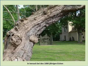 Vacation apartment 2 - Green idyll - Image 4
