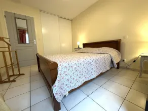 Les genêts - Image 4