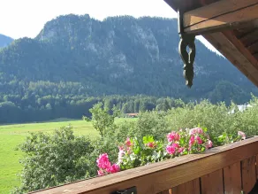Apartment Apfelbaum for 2 persons with balcony, TV, kitchen, 52 sqm - Image 5