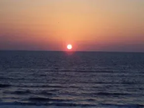 Spectacular Oceanfront Views ~ Olympic Sized Heated Oceanfront Pool - Image 5