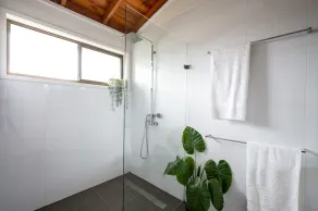Grande maison pour les animaux de compagnie avec piscine - Image 5
