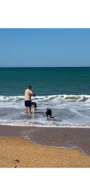 Pet friendly beach cottage in Victoria - Image 3