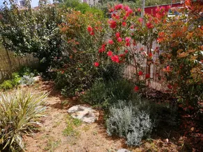 Charming T2 with terrace and small garden - Image 4