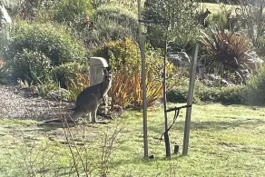 Stonelea in Glenlyon | Romantic escape just minutes from Daylesford - Image 3