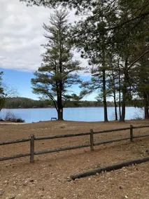Secluded Country Cabin with semi-private Beach on Private Lake. - Image 4