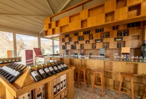 Pacheca The Wine House Hotel e Spa - Quinta da Pacheca - Image 4