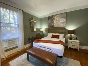 Pet-friendly apartment walking distance to downtown - Image 4