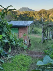 Tiny house on sustainable community - Image 4