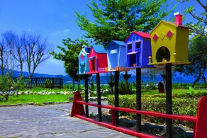 Master Bear Resort - Image 2
