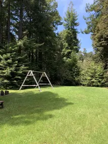 Charming Tiny House nestled in the redwoods, less than a mile from the beach. - Image 2