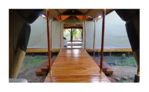 Mara Crossing Camp - Image 4